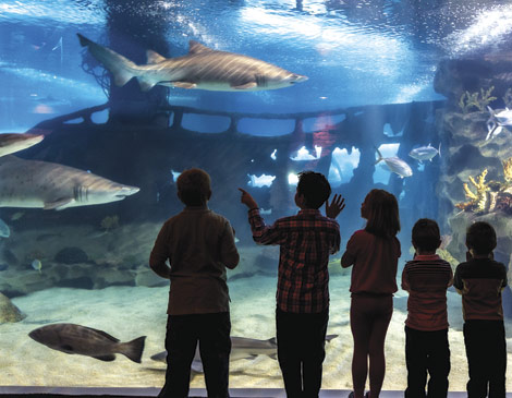 Greater Cleveland Aquarium