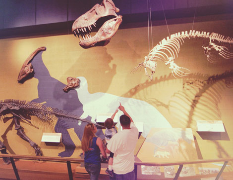 Cleveland Museum of Natural History Cleveland Museum of Natural History