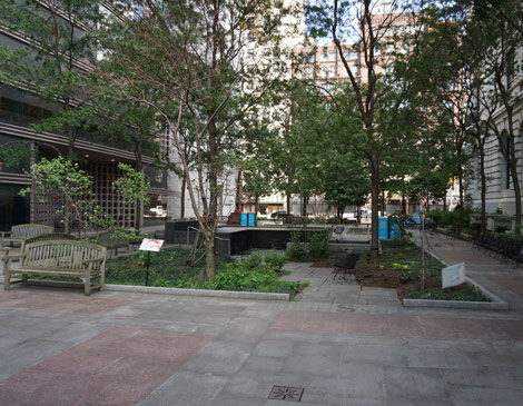 Reading Garden CPL Reading Garden CPL