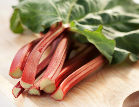 Rhubarb Rhubarb