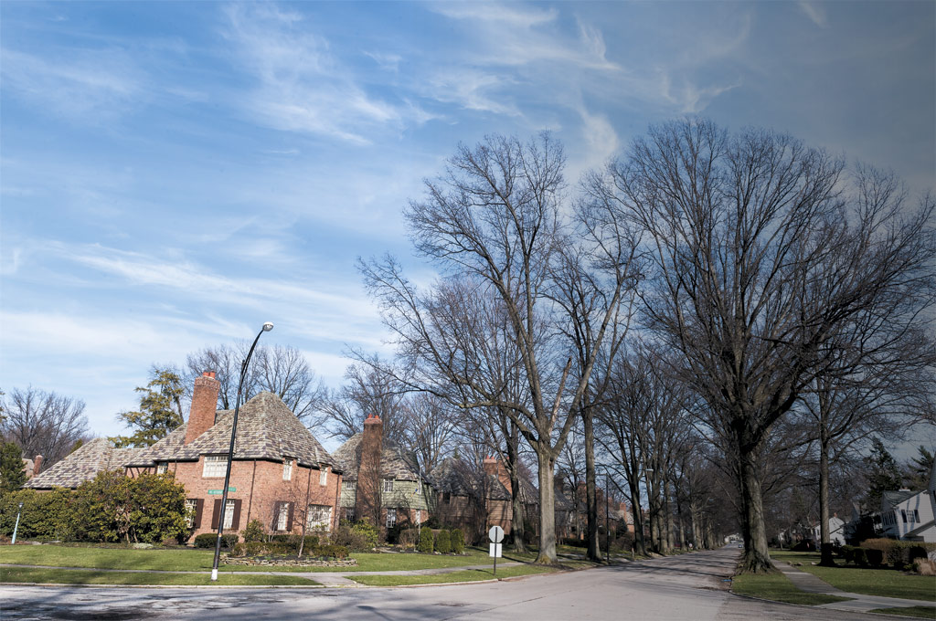 Forest Hill Cleveland