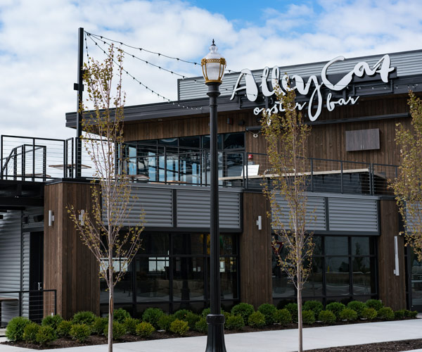 Alley Cat The flatts