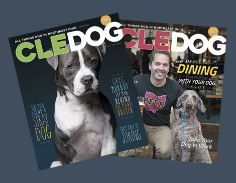 CLE Dog Magazine CLE Dog Magazine