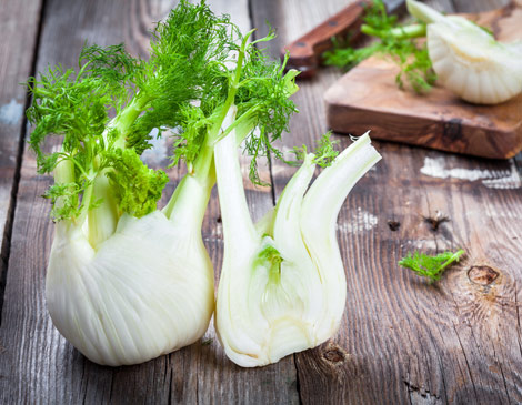 Fennel Fennel