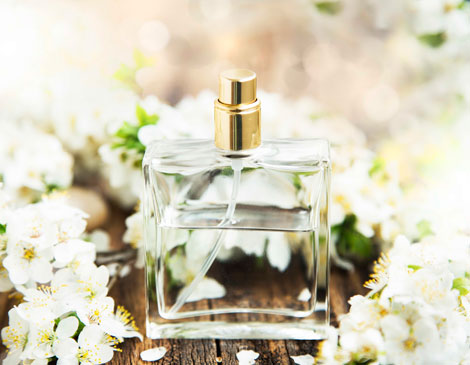 Dasha's Perfume Dasha's Perfume