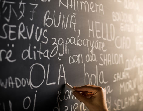 Language Language