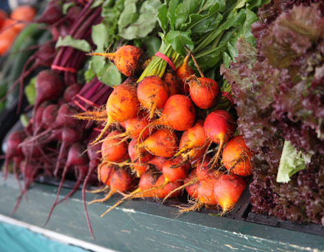 Shakers Square Farmers Market Shakers Square Farmers Market