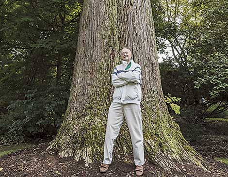 Big Tree Big Tree